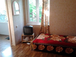 Guest House Novorossiyskaya 47